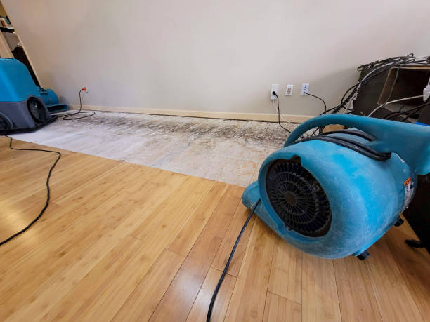 Professional Basement Flood Cleanup technician working in Zellwood, FL